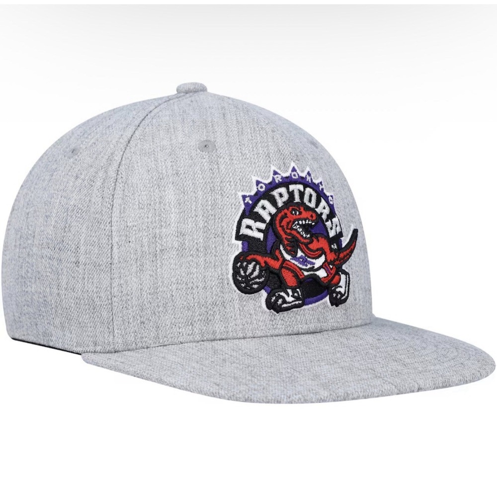 Toronto Raptors Mitchell & Ness Hardwood Classics Snapback Adjustable Hat Gray